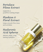 Load image into Gallery viewer, City Lips Plumping Night Oil