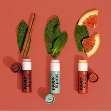 Load image into Gallery viewer, Lip Balm, Cinnamint