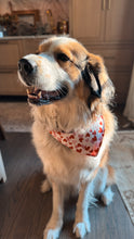 Load image into Gallery viewer, Valentines Reversible Over-the-Collar Bandana