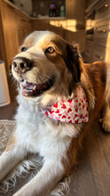 Load image into Gallery viewer, Valentines Reversible Over-the-Collar Bandana