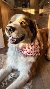 Valentines Reversible Over-the-Collar Bandana