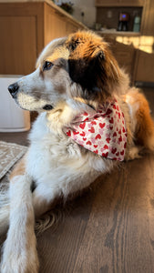 Valentines Reversible Over-the-Collar Bandana