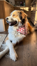 Load image into Gallery viewer, Valentines Reversible Over-the-Collar Bandana