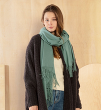 Load image into Gallery viewer, Soft Basic Scarf