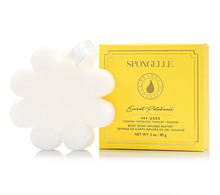 Load image into Gallery viewer, Sweet Patchouli | Boxed Flower