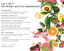 Load image into Gallery viewer, Lip Trio - Buttery Pinks Sheer Lipstick