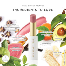 Load image into Gallery viewer, Lip Nourish™ Sheer Lipstick - Guava Blush
