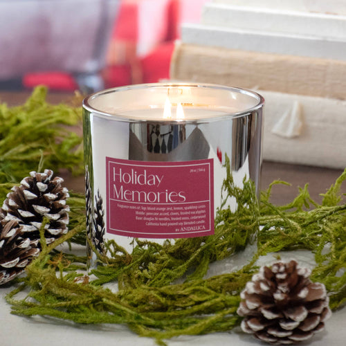 Holiday Memories 2 Wick 20 oz Mercury Candle