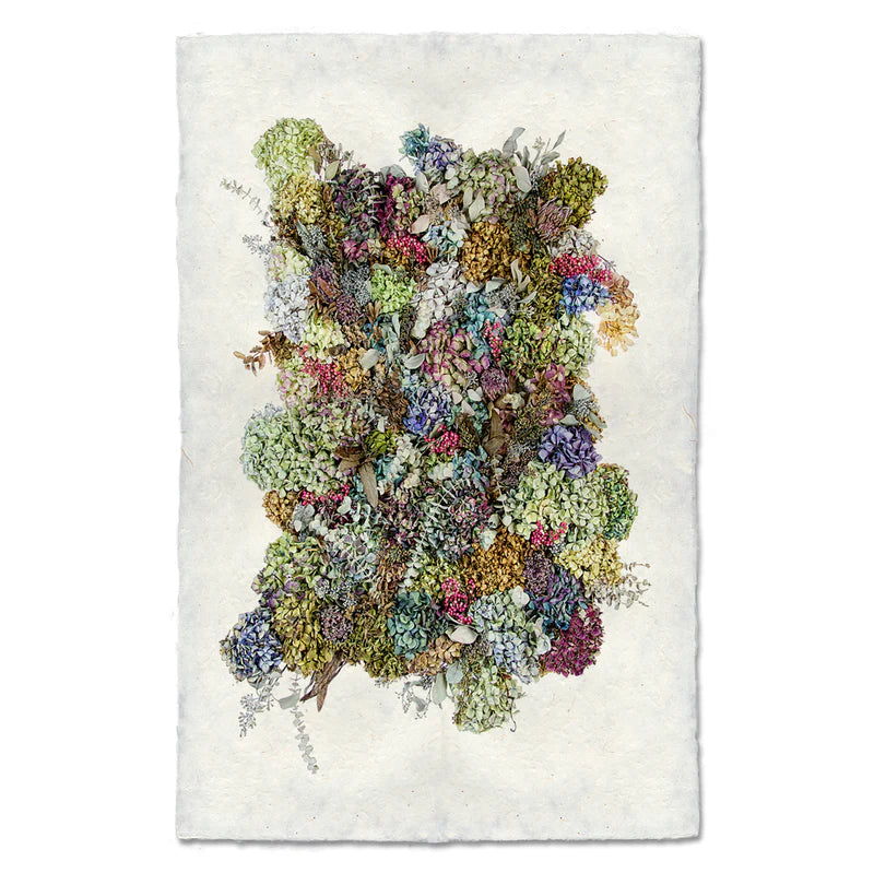 Collective Hydrangeas Print