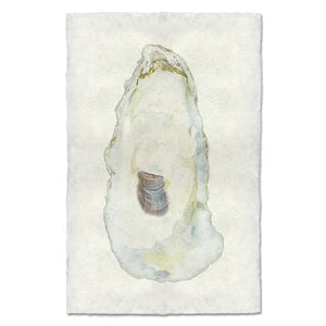 Oyster #11 Print