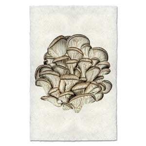 Tree Oysters Print