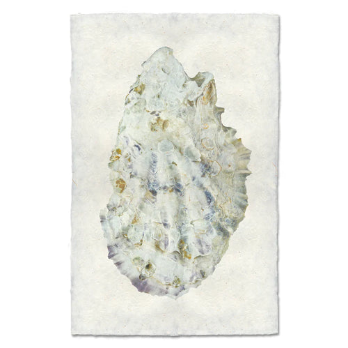 Oyster Study #2 Print