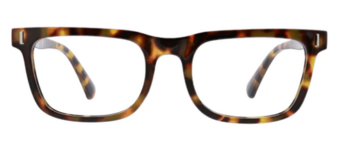 Bingham Blue Light Readers