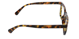 Bingham Blue Light Readers