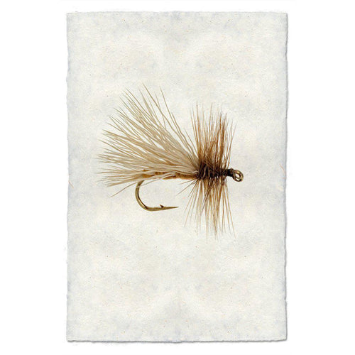 Caddis Variant Print