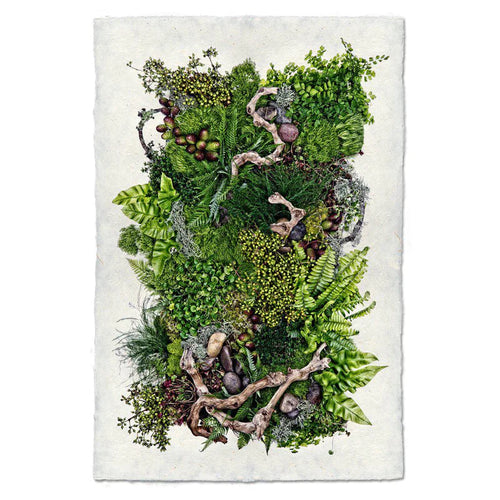 Forest Floor Print