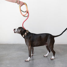Load image into Gallery viewer, Braided Ombre Dog Leash