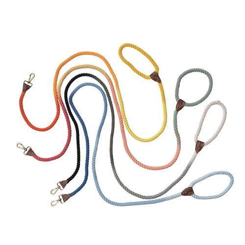 Braided Ombre Dog Leash